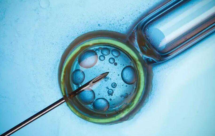 天津供卵大概需要等多久 天津爱维医院试管医生推荐 ‘怀孕生男孩的征兆’