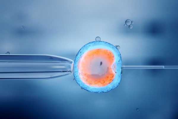 试管婴儿胚胎移植不成功的几个征兆,失败怎么办？