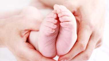 2022河北省二院试管婴儿成功率一览，附试管成功经验分享